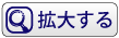 拡大ボタン